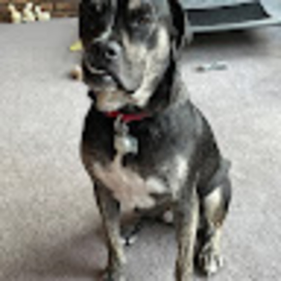 Meet your Posher, Lynn - Picture 1 of 1